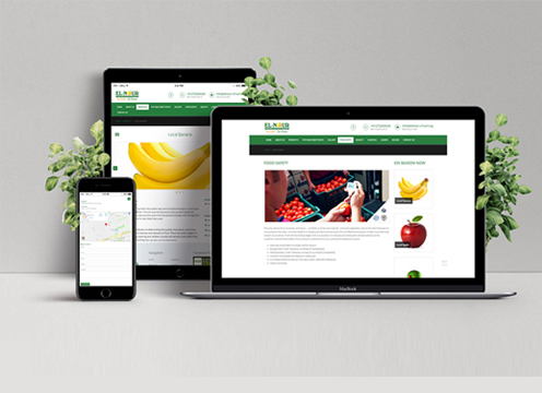 Website Design & Development